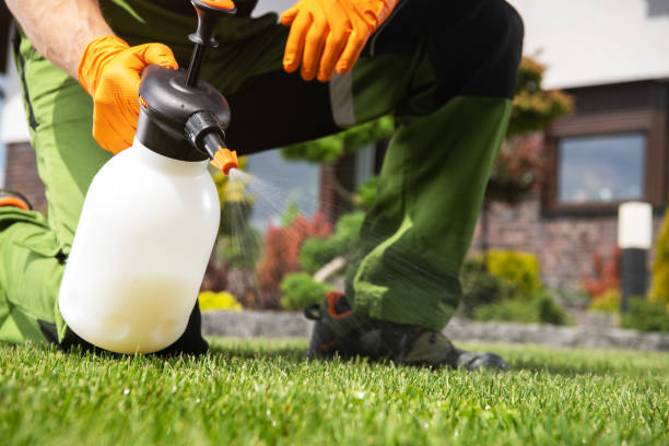 Best Termite Control Services  in Brandermill, VA
