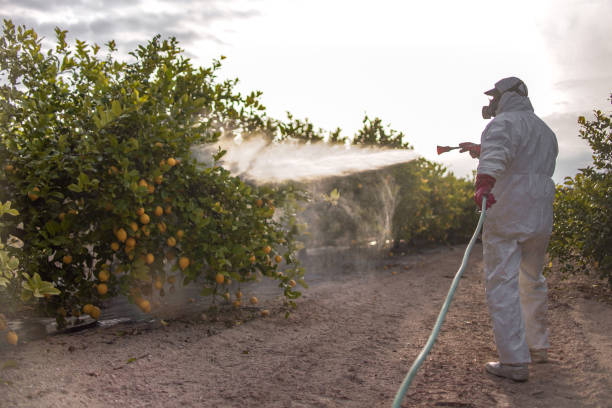 Best Ant Control Services  in Brandermill, VA