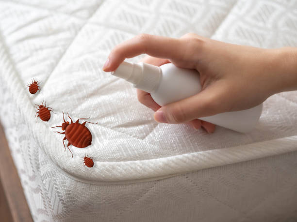 Best Affordable Pest Control Services  in Brandermill, VA