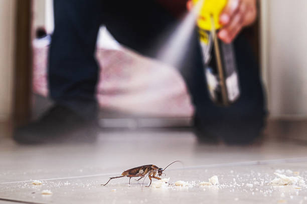 Best Cockroach Control Services  in Brandermill, VA